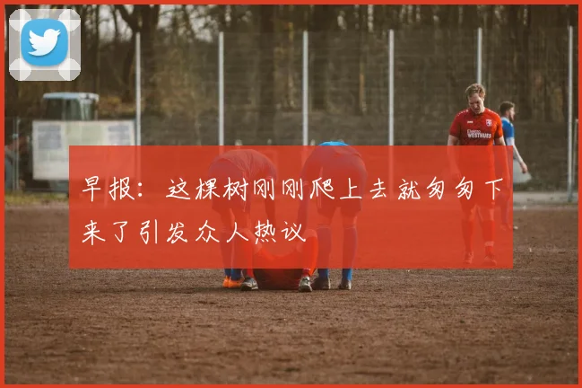 早报：这棵树刚刚爬上去就匆匆下来了引发众人热议