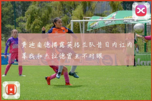 费迪南德揭露英格兰队昔日内讧内幕我和杰拉德曾互不对眼