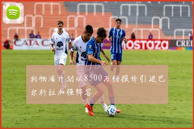 利物浦计划以8500万镑报价引进巴尔科拉加强阵容